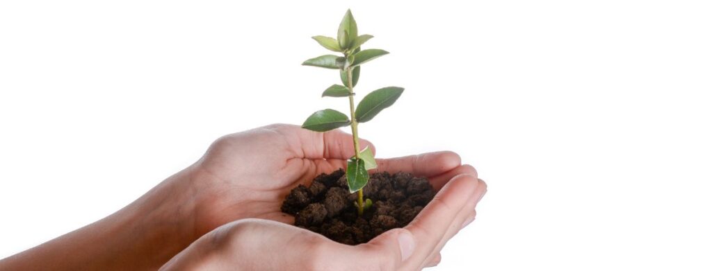 Tavoita hiljaiset lukijat – näin herätät passiiviset vastaanottajat