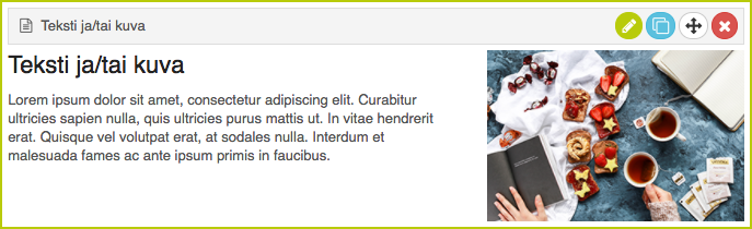 Teksti ja/tai kuva